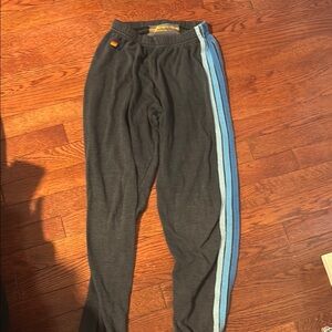 Aviator Nation sweatpants with blue stripes